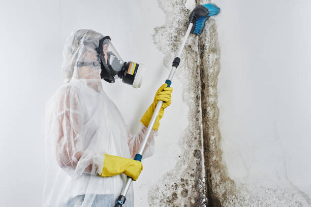 Best Crawl Space Mold Removal  in Tunica Resorts, MS